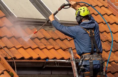 Démoussage et hydrofuge de toiture à Roybon
